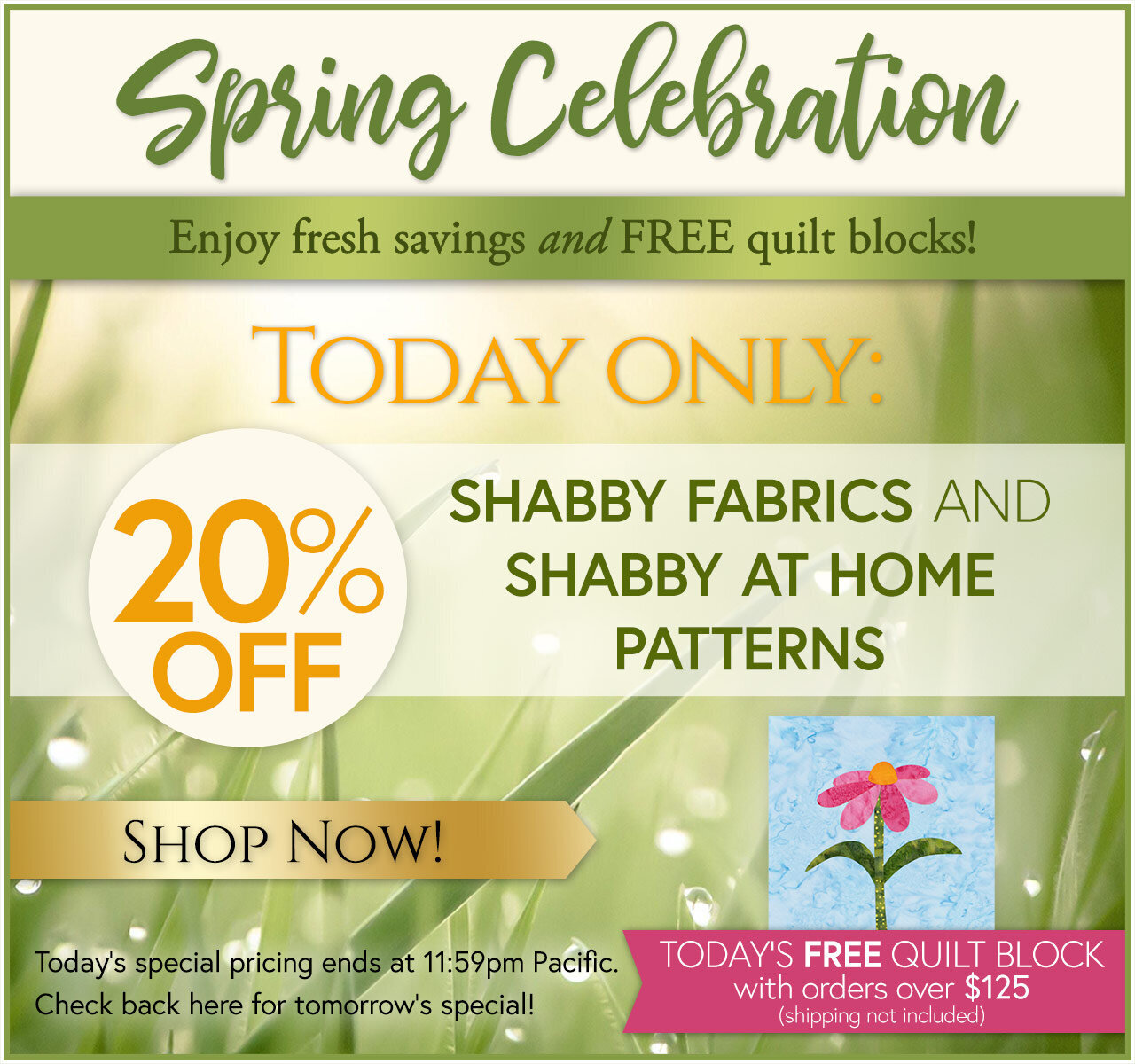 Spring Celebration Day 2