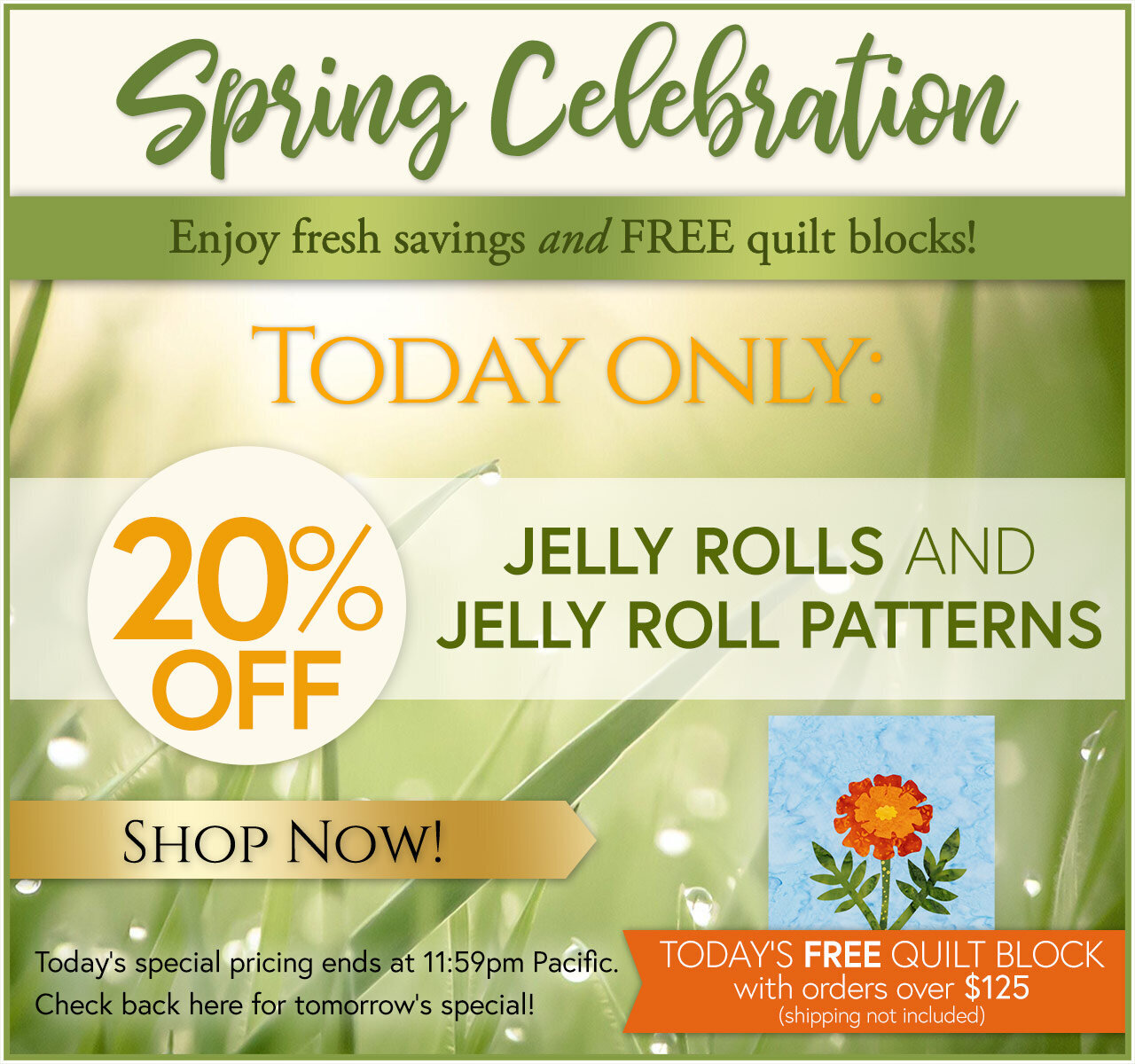 Spring Celebration Day 5