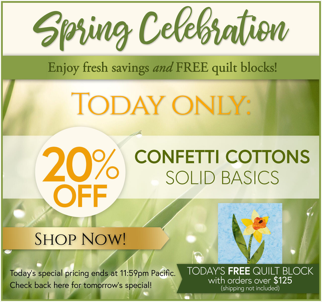 Spring Celebration Day 3