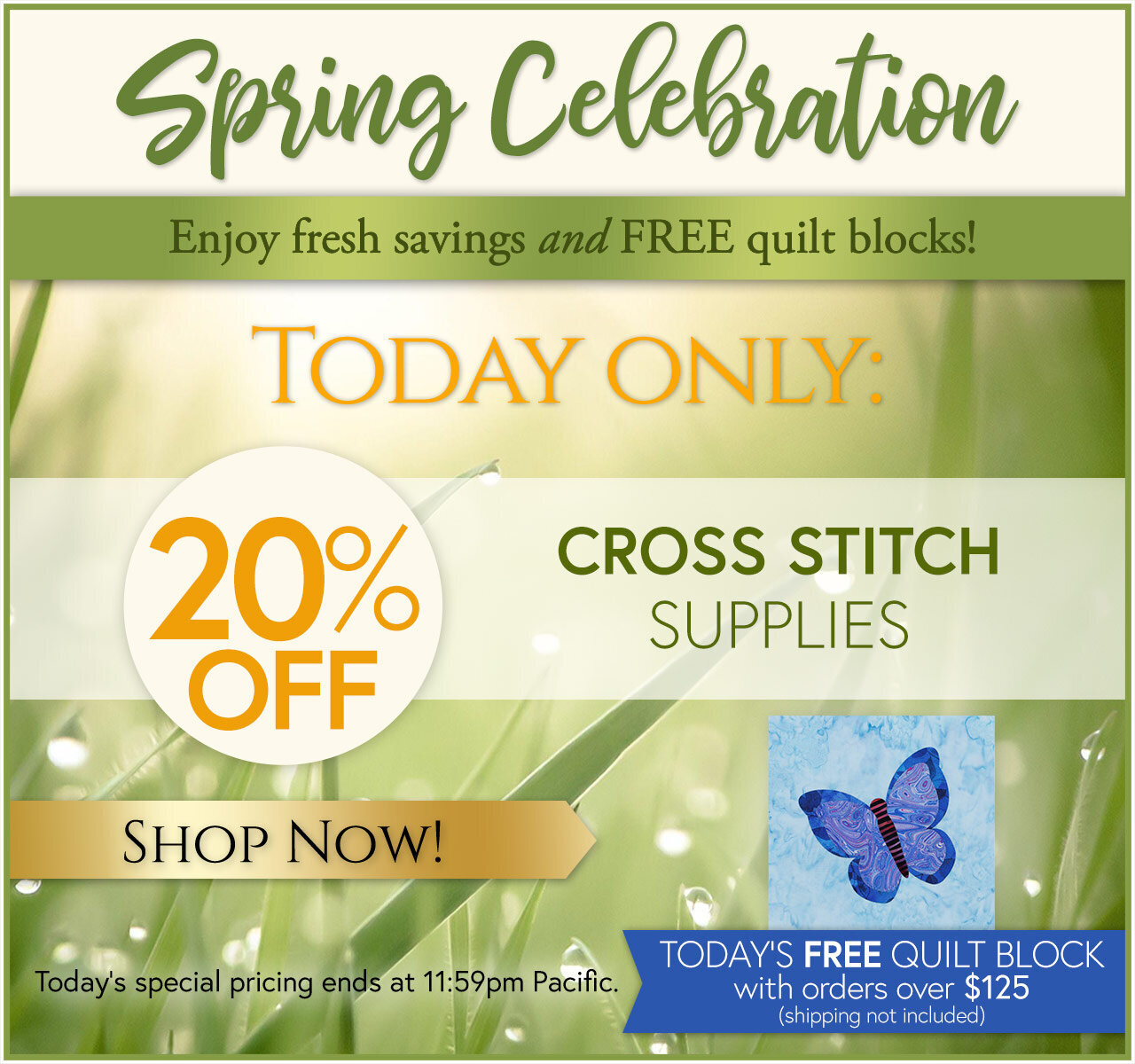 Spring Celebration Day 6