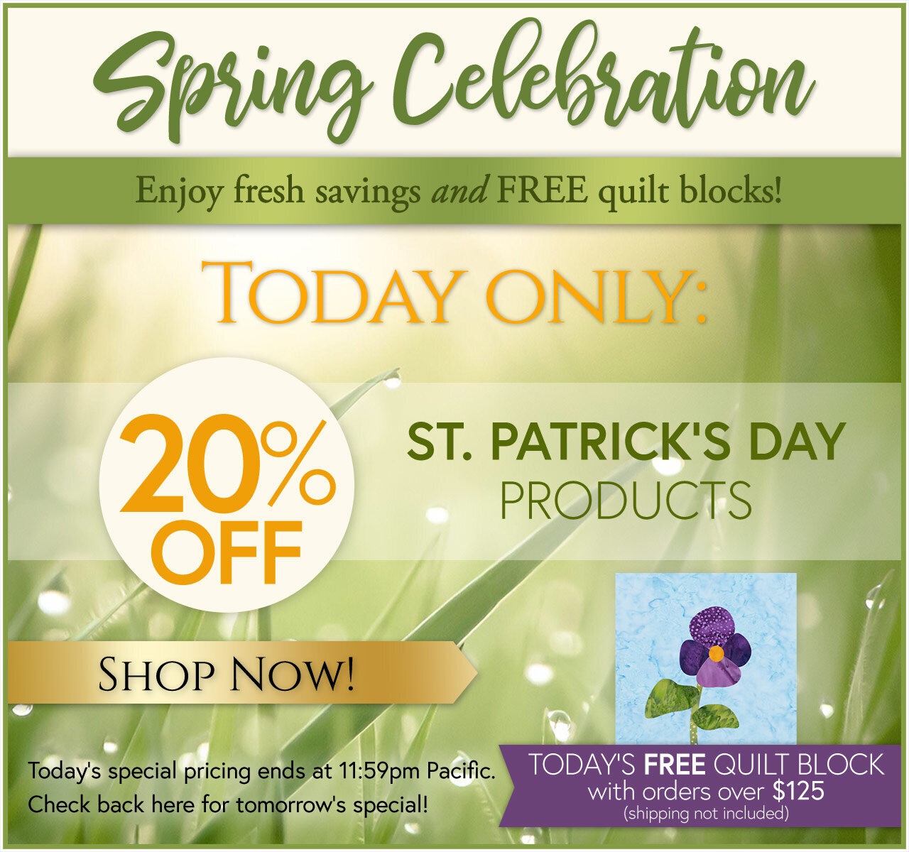 Spring Celebration Day 1