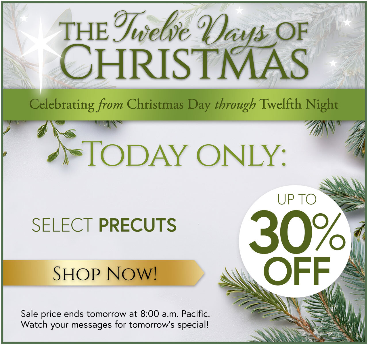 The Twelve Days of Christmas