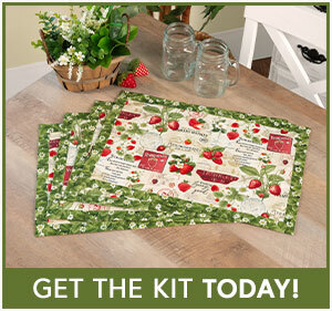 Self-Binding Placemats Kit - Makes 4 - Berry Sweet
