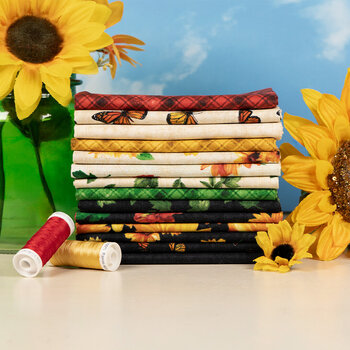Sunshine Whispers by Bruce Park Licensing for Wilmington Prints