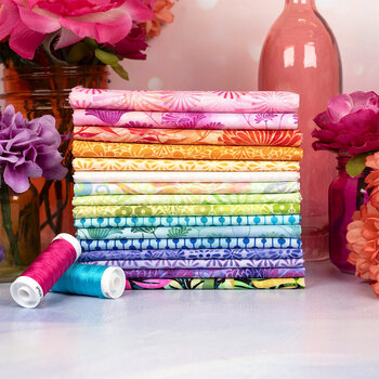 Felicity by Jason Yenter for In The Beginning Fabrics