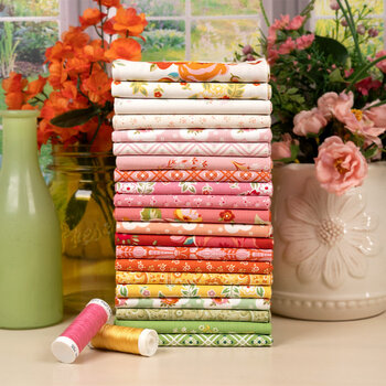 Peach Cobbler by Lily Ashbury for Riley Blake Designs
