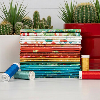 Desert Dreams by Maywood Studio