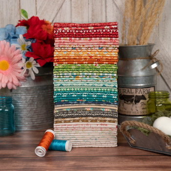 Farmer's Daughter by Lori Holt for Riley Blake Designs