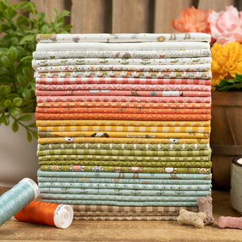 Lucky by Sweetwater for Moda Fabrics