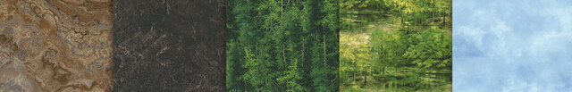 link to Northwoods - Naturescapes