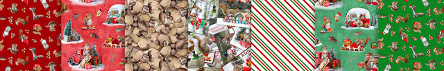 link to The Secret Life of Squirrels V