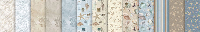 link to Beach Wonders