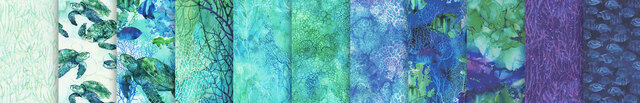 link to Coral Reef