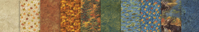 link to Autumn Woodland