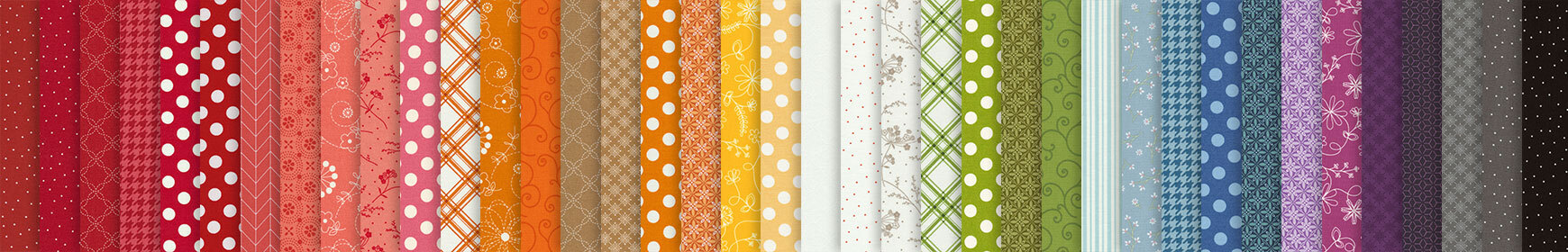 header image for Kimberbell Basics