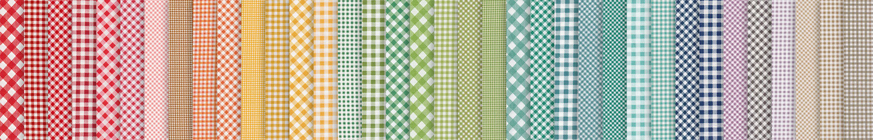 header image for Bee Ginghams