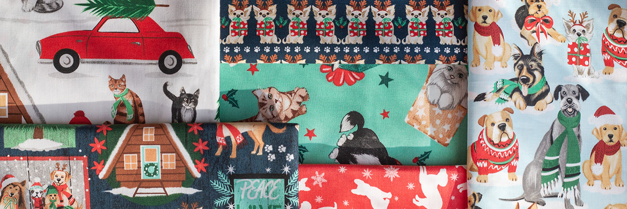 header image for Santa Paws