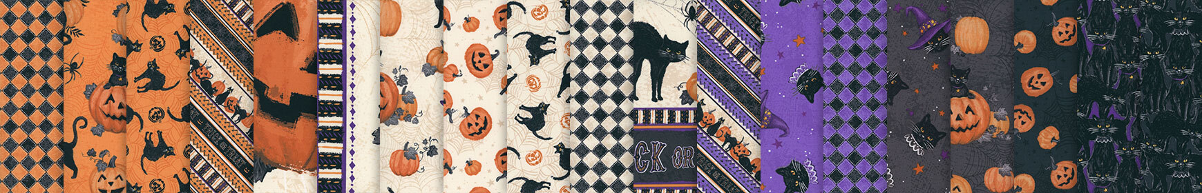 header image for Meow-gical Night