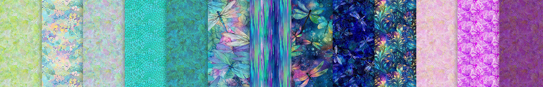 header image for Dragonfly Illusion