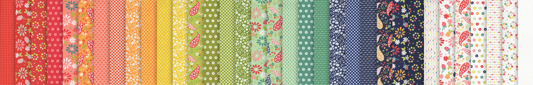 header image for Raspberry Summer