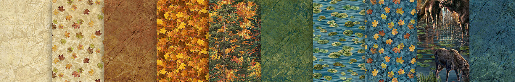 header image for Autumn Woodland