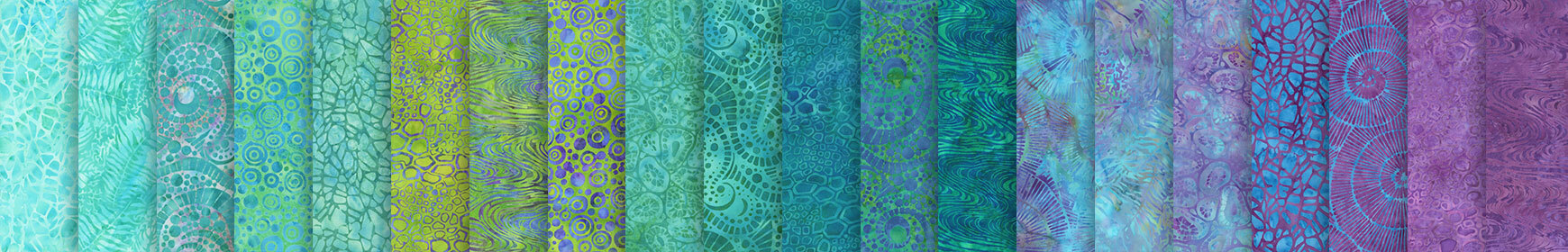header image for Fossil Finesse