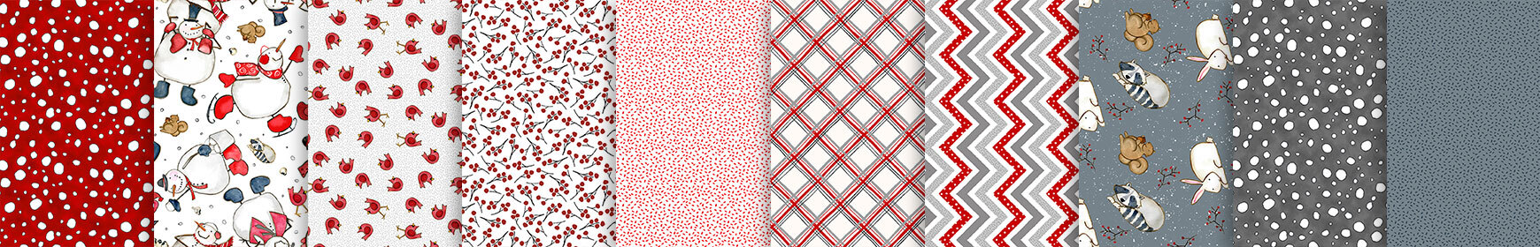 header image for Snow Folks