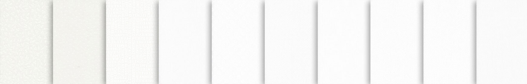 header image for Coriander Seeds