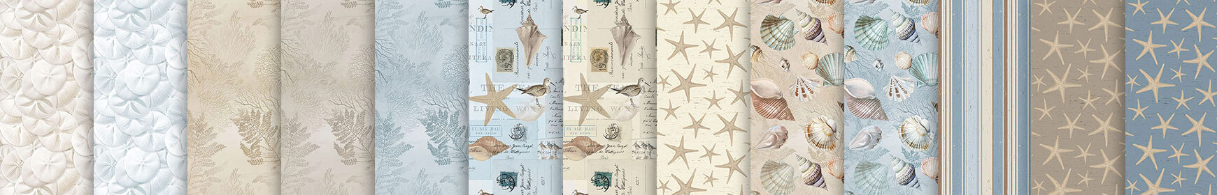 header image for Beach Wonders