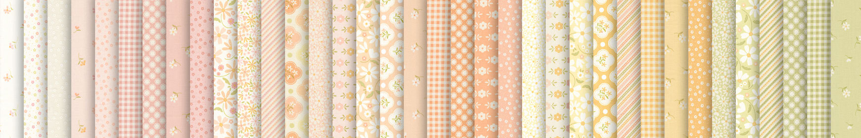 header image for Dear Daisy