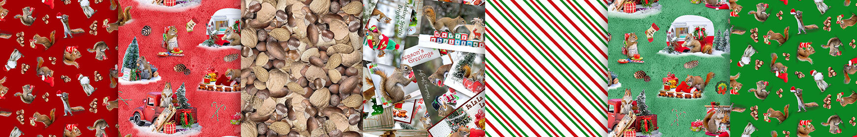header image for The Secret Life of Squirrels V