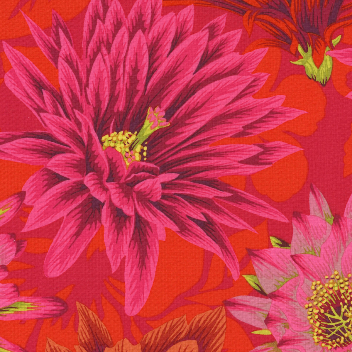 ★ept★ FAT RED EP5SN1FA48401 Kaffe Fassett Collective Classics Plus PWPJ096.RED Cactus