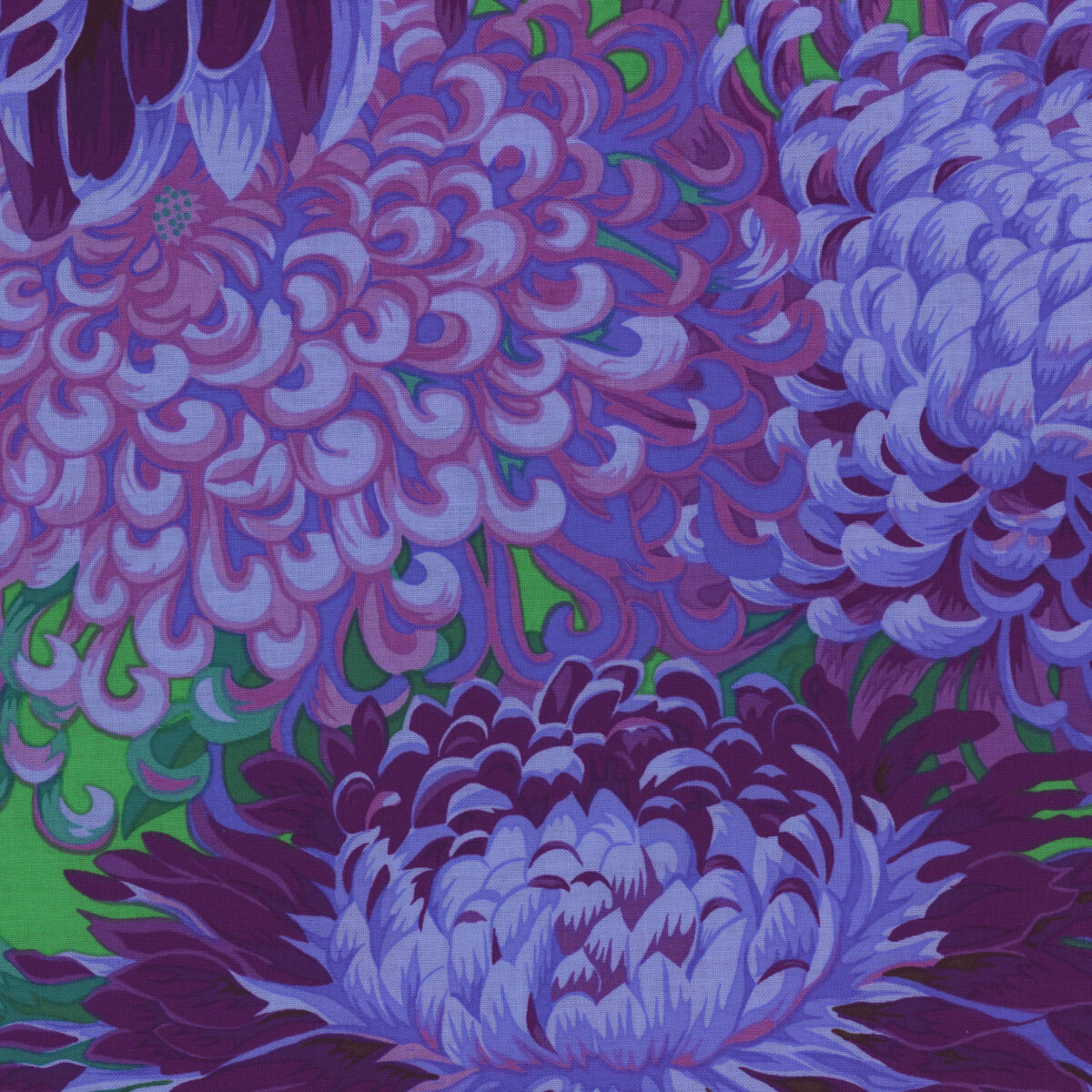 Kaffe Fassett Collective Classics Plus PWPJ041.PURPL