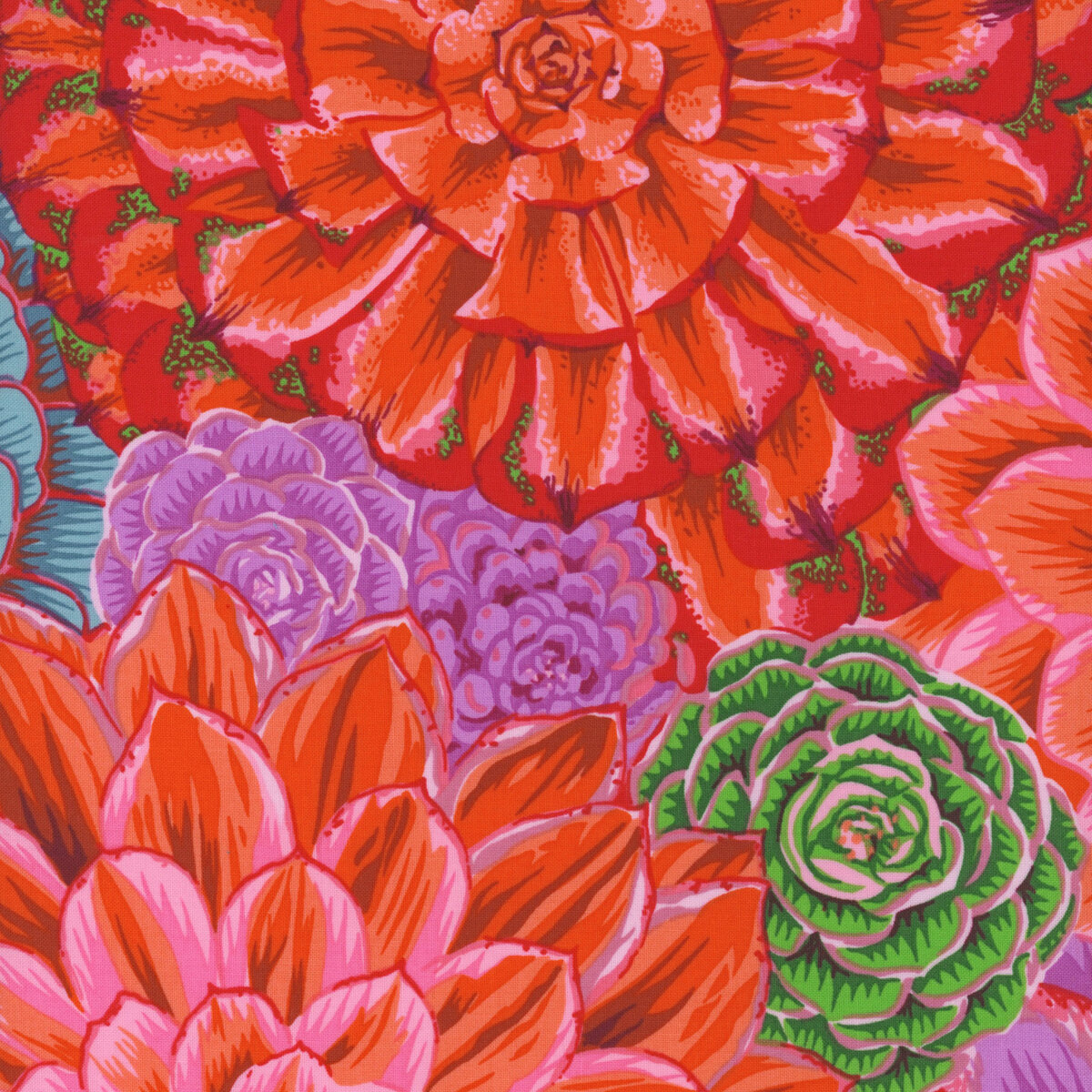 Kaffe Fassett Collective Classics Plus PWPJ113.PINK House Leeks