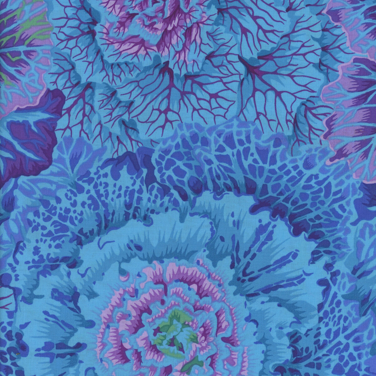 Kaffe Fassett Collective Classics Plus PWPJ051.BLUEX Brassica