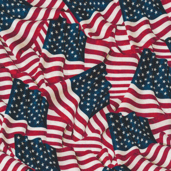 Stonehenge Stars & Stripes 10th Anniversary Edition 24284-49 by Northcott Fabrics, Image