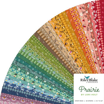 Prairie  Rolie Polie by Lori Holt for Riley Blake Designs, Image