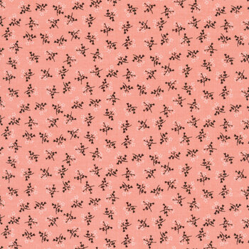 Prairie C12307-CORAL by Lori Holt for Riley Blake Designs, Image