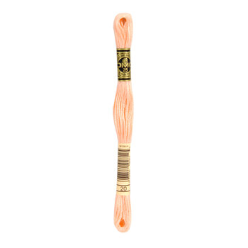 DMC 20 Shrimp - 6 Strand Embroidery Floss