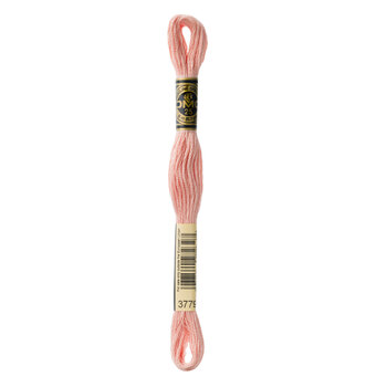 DMC 3779 Very Light Terra Cotta - 6 Strand Embroidery Floss