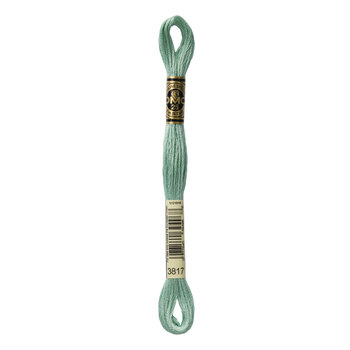 DMC 3817 Light Celadon Green - 6 Strand Embroidery Floss, Image