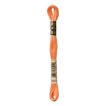 DMC 3825 Pale Pumpkin - 6 Strand Embroidery Floss, Image