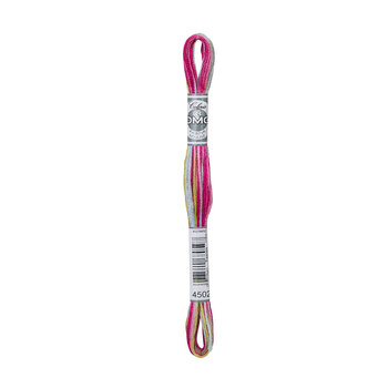 DMC 4502 Camelia - Coloris Embroidery Floss