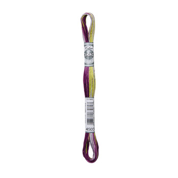 DMC 4503 Wisteria - Coloris Embroidery Floss, Image