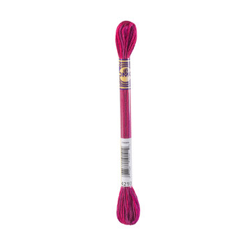 DMC 4210 Radiant Ruby - Color Variations Embroidery Floss, Image