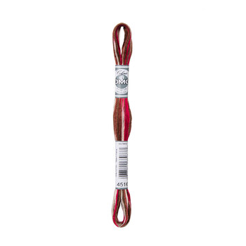 DMC 4516 Black Forest - Coloris Embroidery Floss