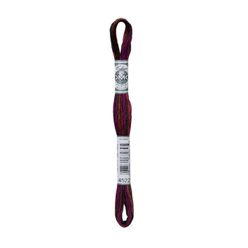 DMC 4522 Canadian Night - Coloris Embroidery Floss