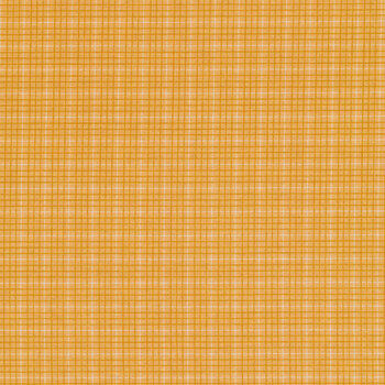 Bee Plaids C12027-DAISY by Lori Holt for Riley Blake Designs, Image