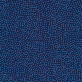 Wander Lane 13609-11 Navy by Nancy Halvorsen for Benartex, Image