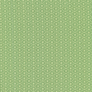 Romance CD1727-Green by Timeless Treasures Fabrics REM, Image